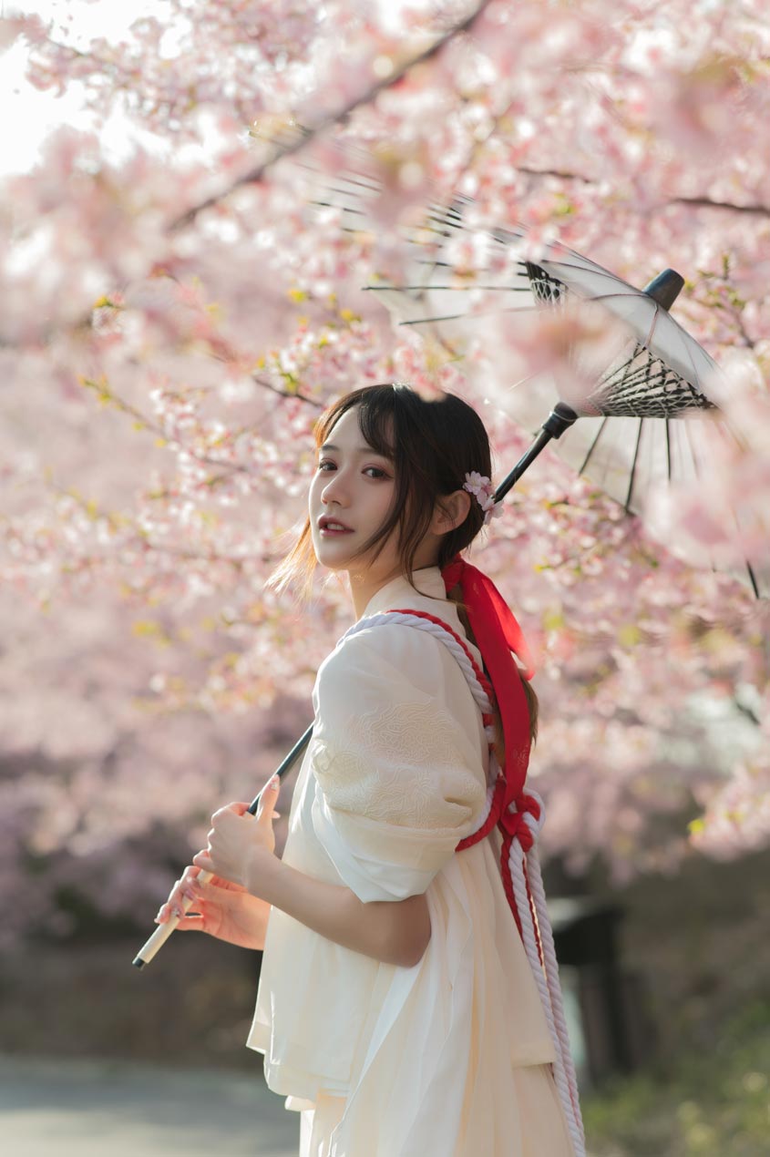 兔子Zzz不吃胡萝卜 樱语 兔子Zzz不吃胡萝卜 樱语