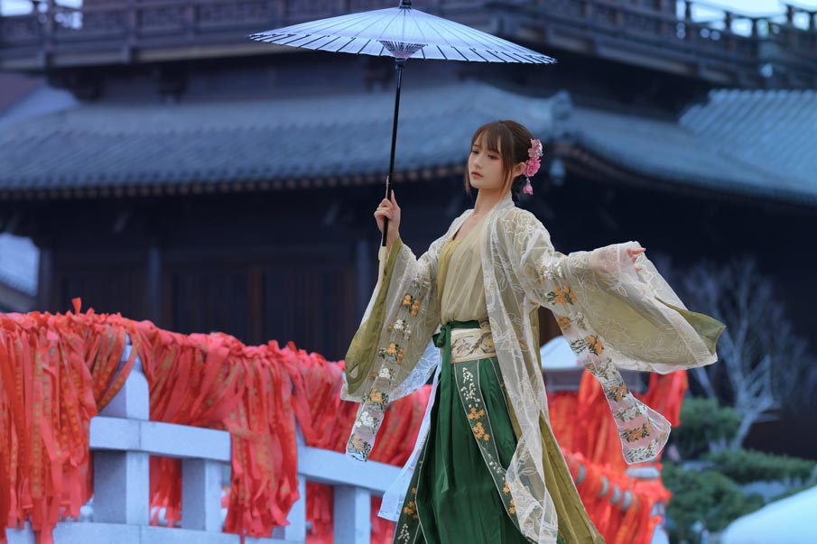 兔子Zzz不吃胡萝卜 宫墙柳 兔子Zzz不吃胡萝卜 宫墙柳