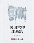 民国大师球系统