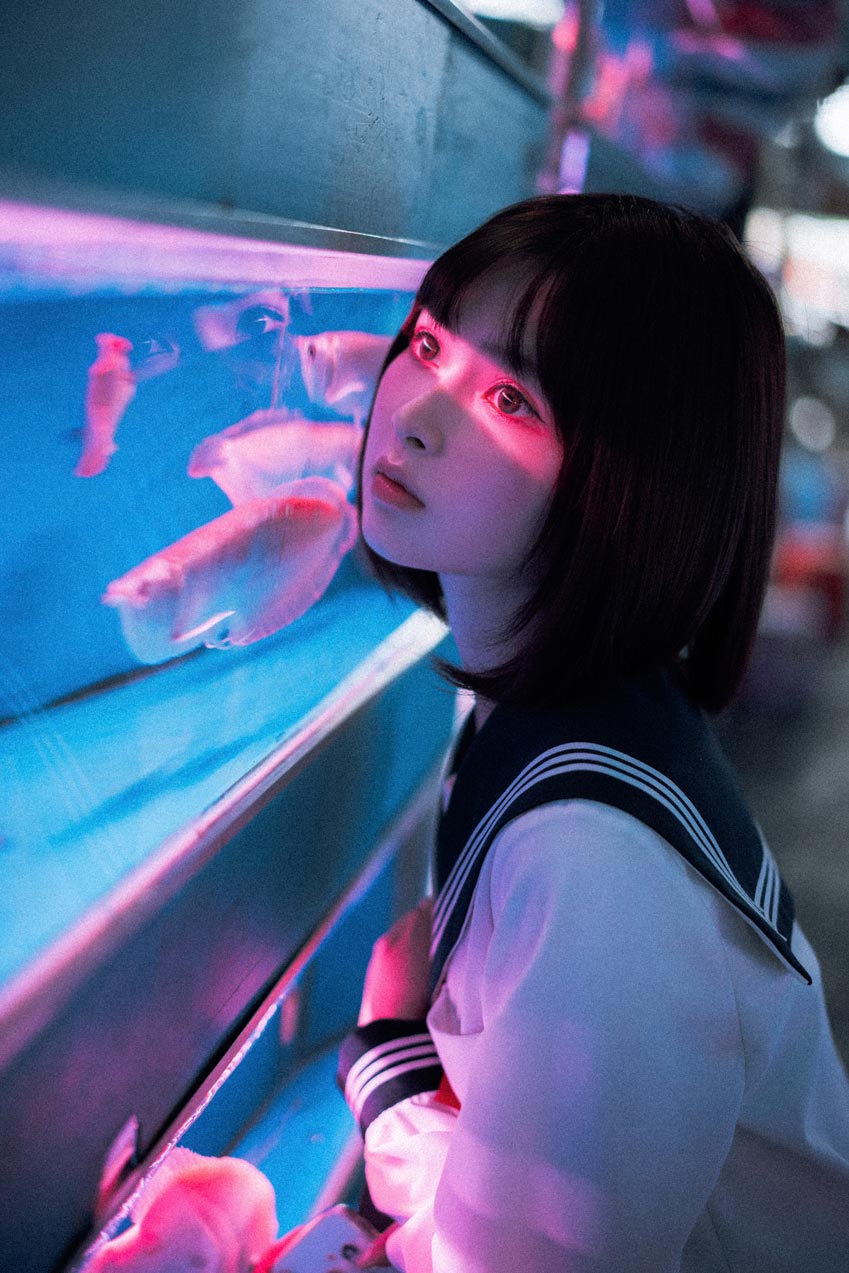 河豚抚子-金鱼JK