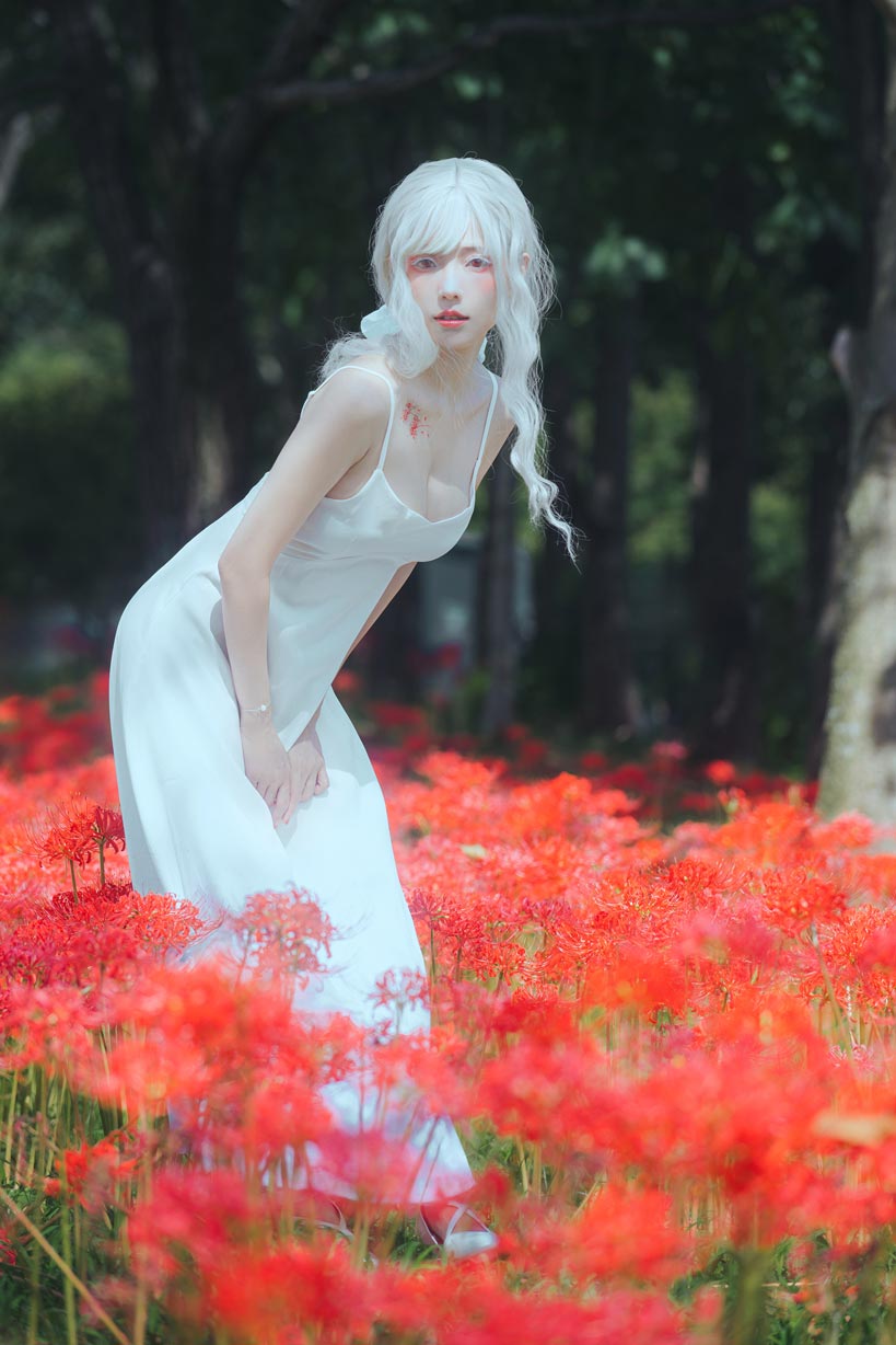 ElyEE子-White spider lily 白瓷彼岸