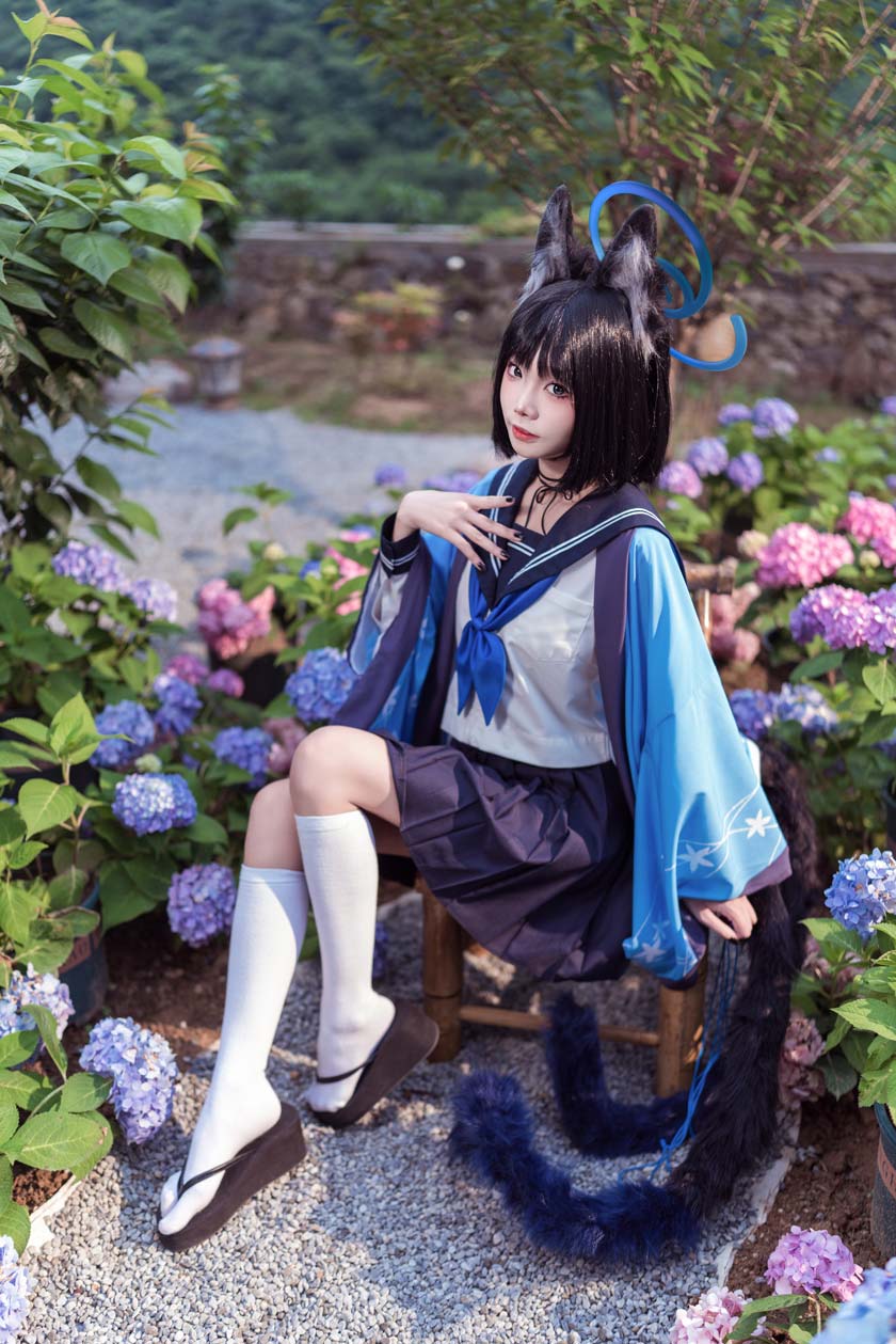 艾西Aiwest-桐生桔梗