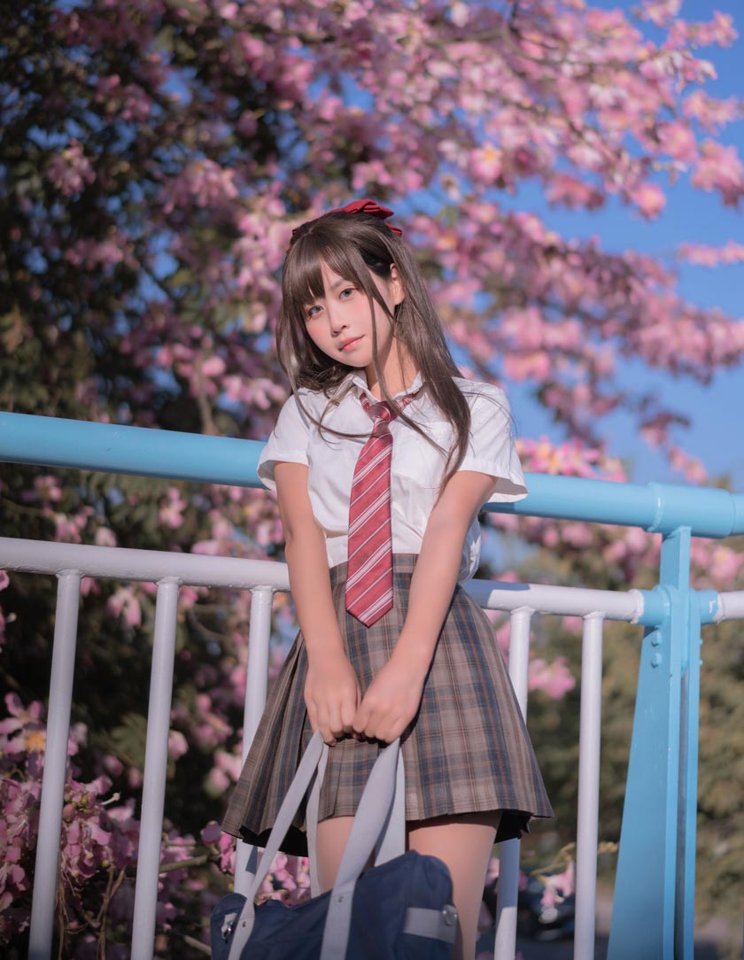 萌芽儿o0-异木棉花
