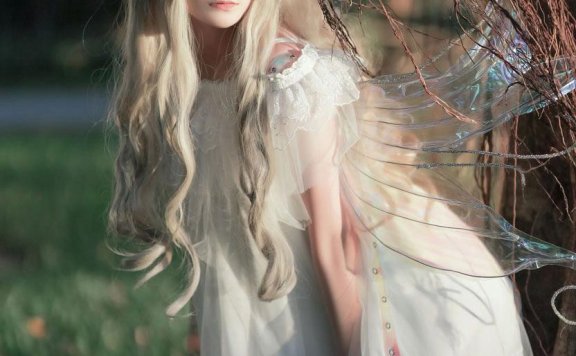 是三不是世w 林中精灵