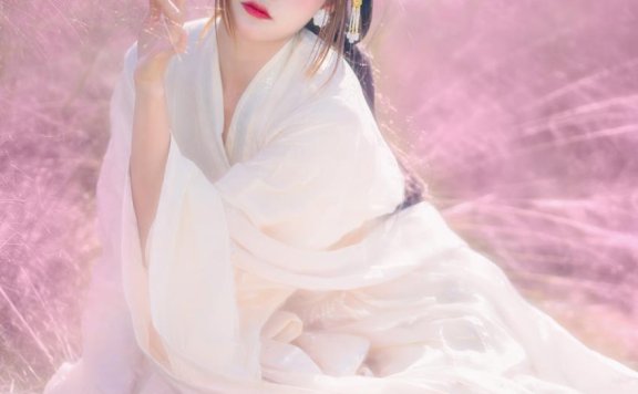 兔子Zzz不吃胡萝卜 粉草回忆