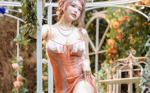 秋和柯基 花园嬉水