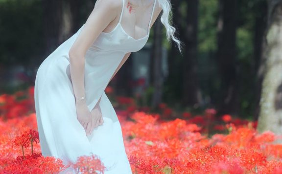 ElyEE子-White spider lily 白瓷彼岸